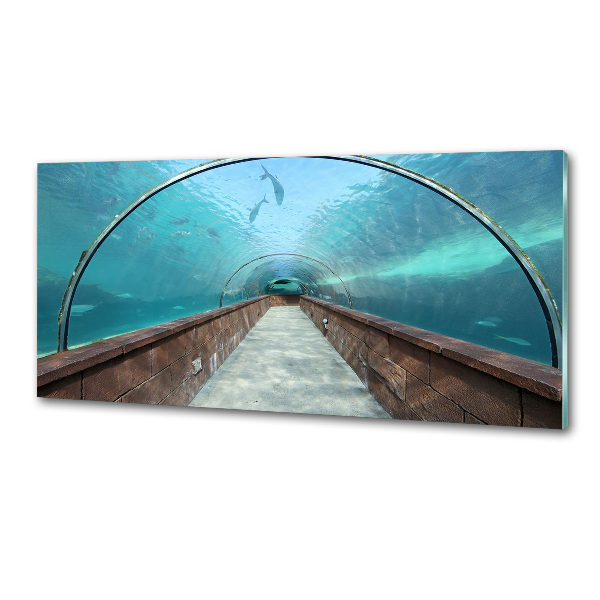 Kitchen wall panels Aquarium tunnel