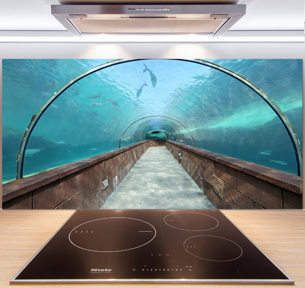 Kitchen wall panels Aquarium tunnel