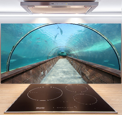 Kitchen wall panels Aquarium tunnel