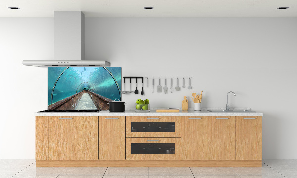 Kitchen wall panels Aquarium tunnel