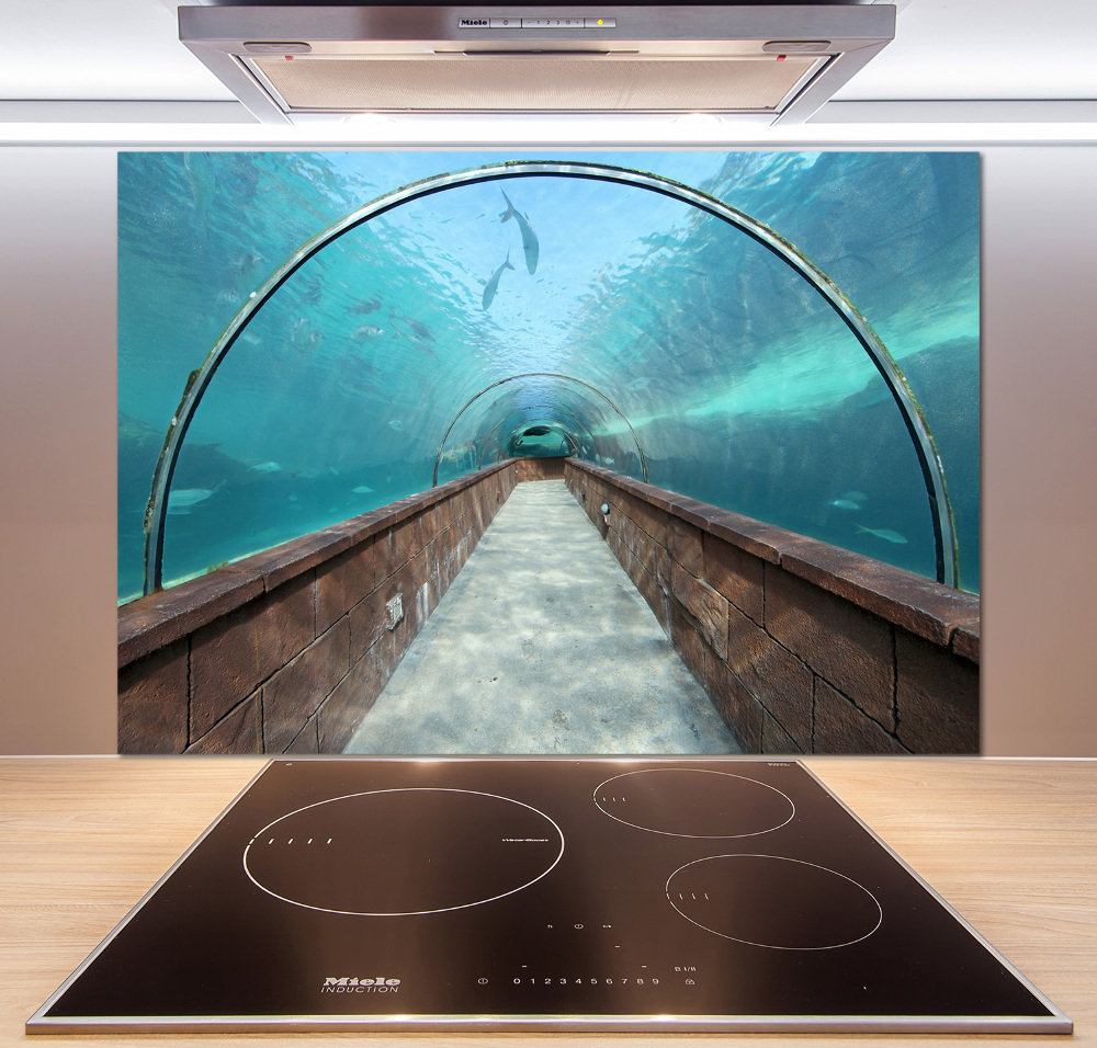 Kitchen wall panels Aquarium tunnel