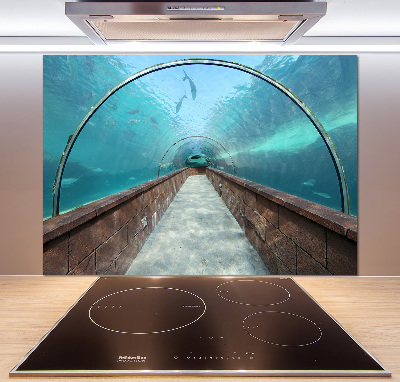 Kitchen wall panels Aquarium tunnel