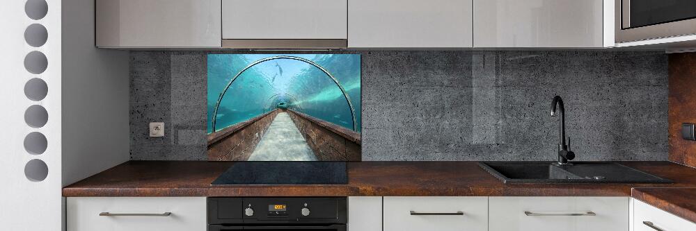 Kitchen wall panels Aquarium tunnel