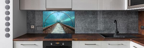 Kitchen wall panels Aquarium tunnel