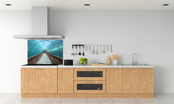 Kitchen wall panels Aquarium tunnel