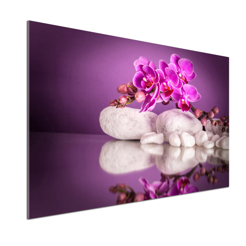 Cooker splashback Pink orchid