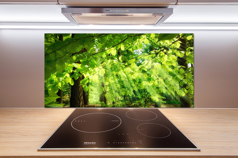 Kitchen splashback Beech leaves