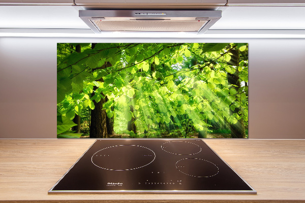 Kitchen splashback Beech leaves