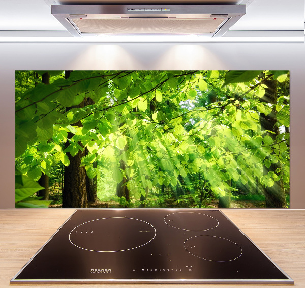 Kitchen splashback Beech leaves