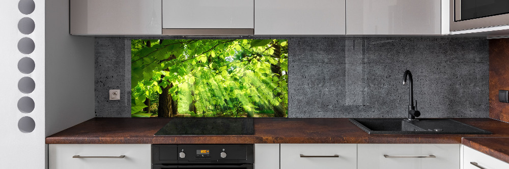 Kitchen splashback Beech leaves