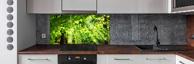 Kitchen splashback Beech leaves