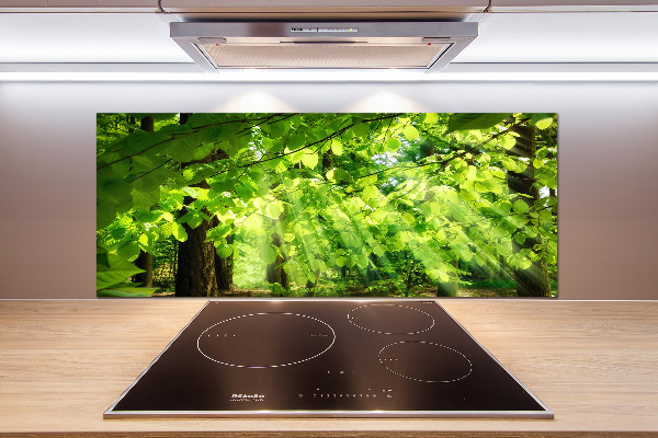 Kitchen splashback Beech leaves