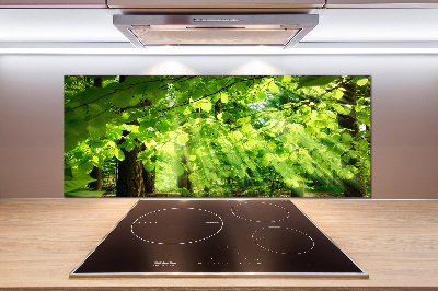 Kitchen splashback Beech leaves