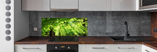 Kitchen splashback Beech leaves