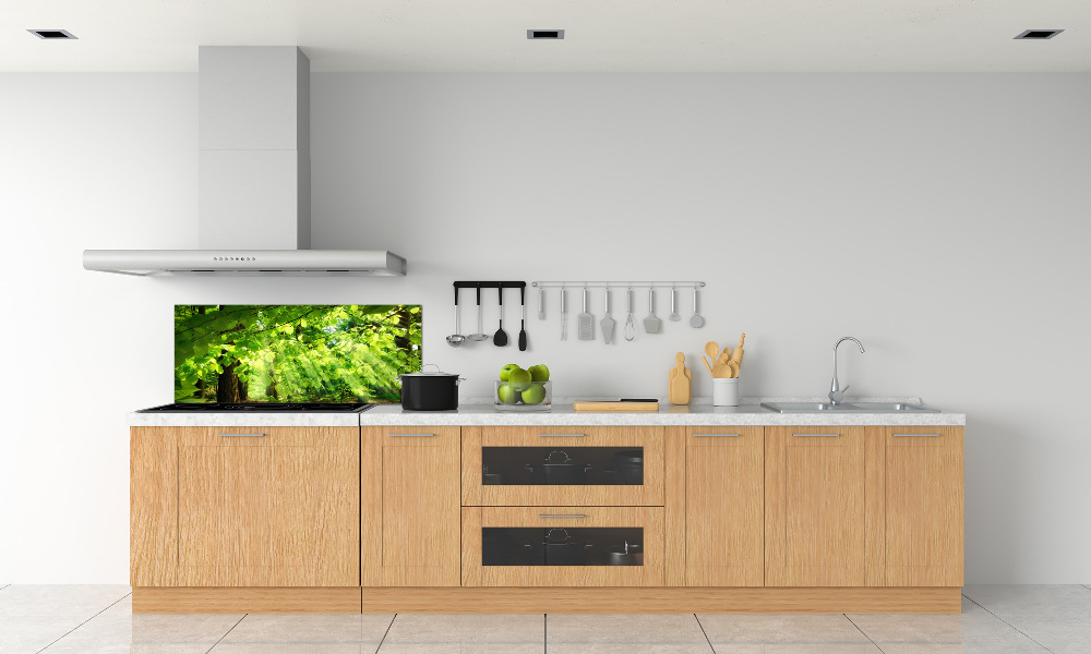 Kitchen splashback Beech leaves