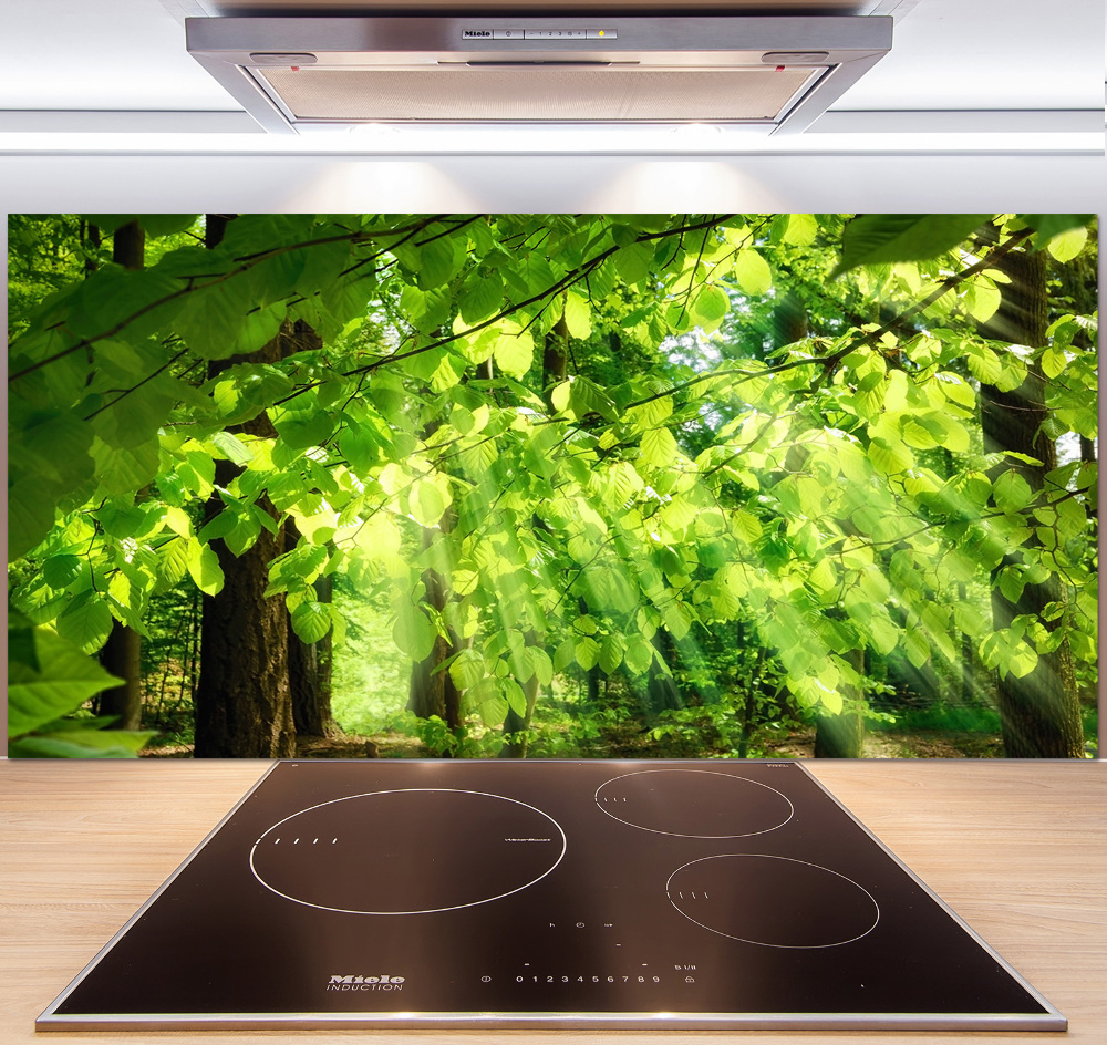 Kitchen splashback Beech leaves