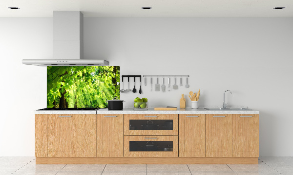 Kitchen splashback Beech leaves