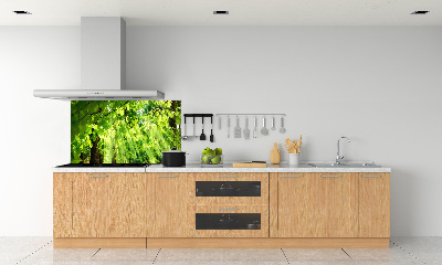 Kitchen splashback Beech leaves