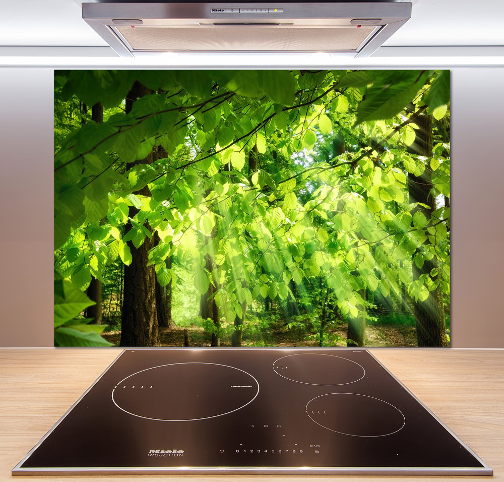 Kitchen splashback Beech leaves