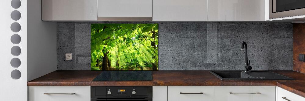 Kitchen splashback Beech leaves