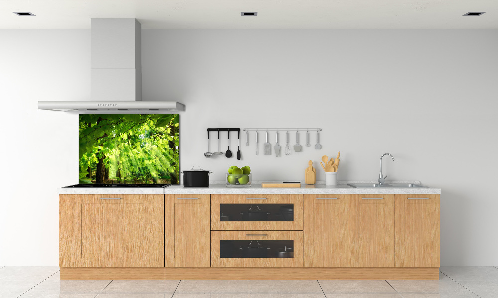 Kitchen splashback Beech leaves