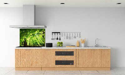 Kitchen splashback Beech leaves