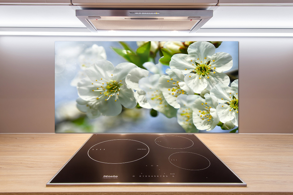 Cooker splashback Cherry Blossom