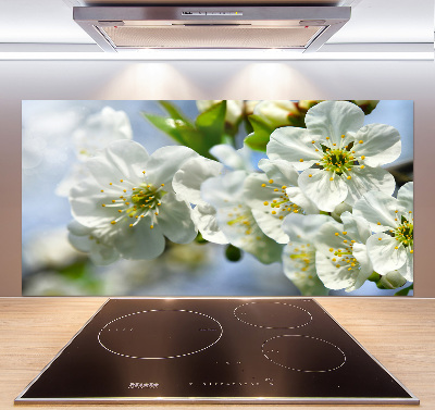 Cooker splashback Cherry Blossom