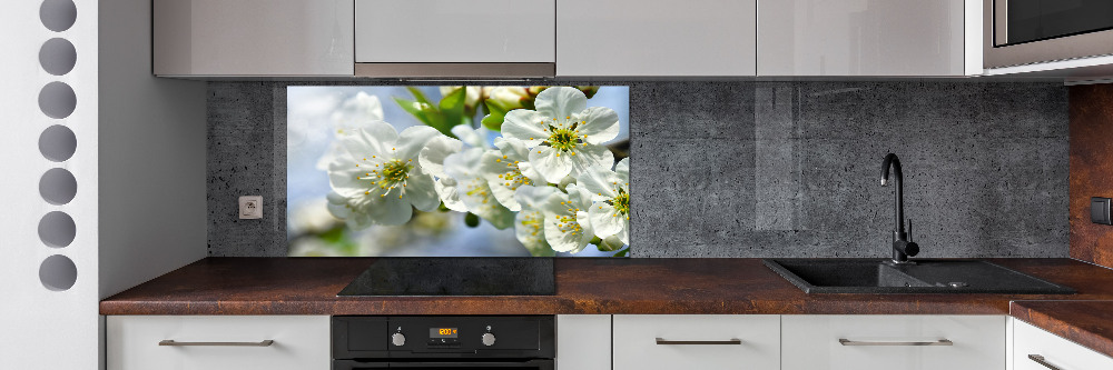 Cooker splashback Cherry Blossom