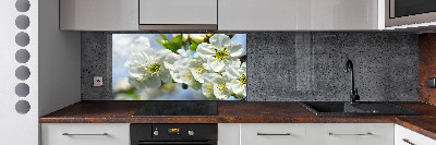 Cooker splashback Cherry Blossom