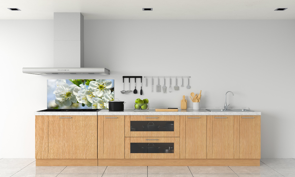 Cooker splashback Cherry Blossom