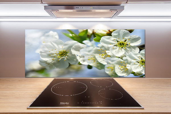 Cooker splashback Cherry Blossom