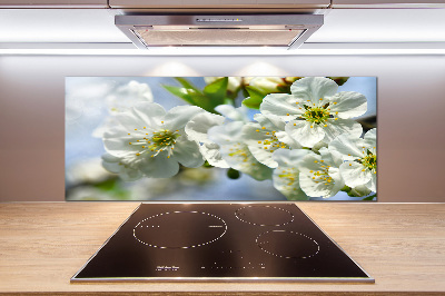 Cooker splashback Cherry Blossom