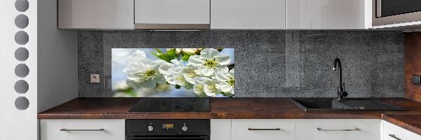 Cooker splashback Cherry Blossom