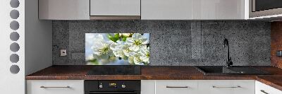 Cooker splashback Cherry Blossom