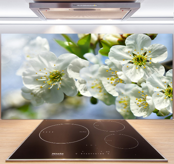 Cooker splashback Cherry Blossom