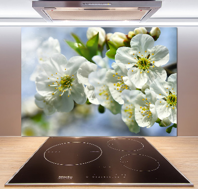 Cooker splashback Cherry Blossom