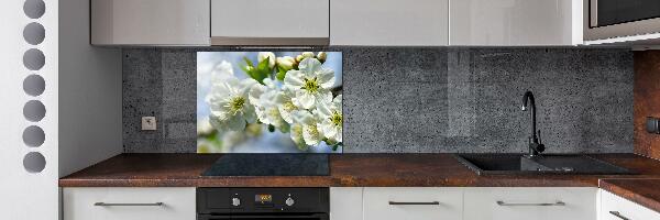 Cooker splashback Cherry Blossom