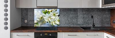 Cooker splashback Cherry Blossom