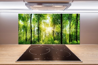 Cooker splashback Forest in the sun