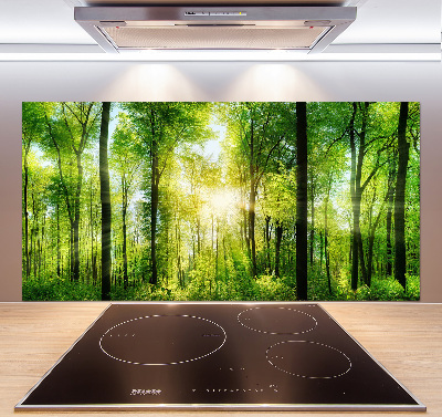 Cooker splashback Forest in the sun