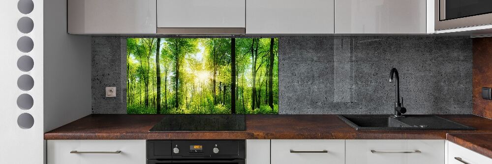 Cooker splashback Forest in the sun