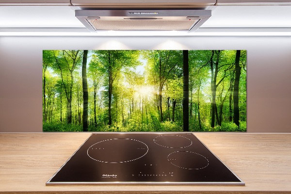 Cooker splashback Forest in the sun