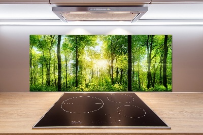 Cooker splashback Forest in the sun