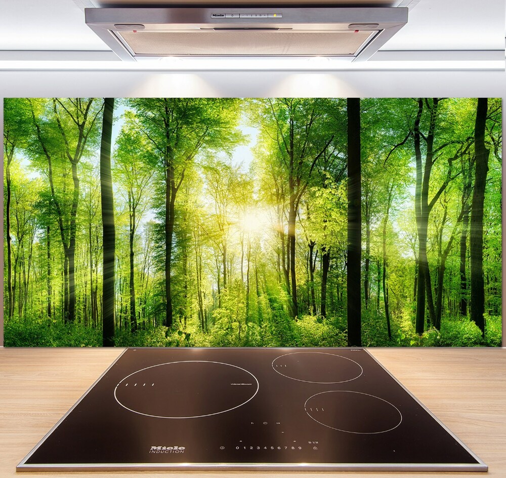 Cooker splashback Forest in the sun