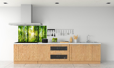 Cooker splashback Forest in the sun