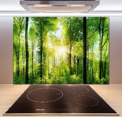 Cooker splashback Forest in the sun