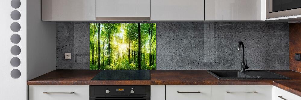 Cooker splashback Forest in the sun