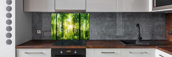 Cooker splashback Forest in the sun