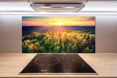 Cooker splashback West forest